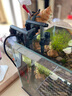 AMTRA TECHNIK德國安彩壁掛過濾器ex350小型魚缸過濾器烏龜缸壁掛式凈水 EX350 除油膜版【內(nèi)含濾材】 曬單實拍圖