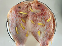 海名威 冷凍寧德三去黃花魚600g/2條 大黃魚 生鮮魚類 海鮮水產(chǎn)  曬單實(shí)拍圖
