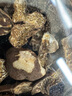 海參禮盒裝干海參鮑魚肉厚海鮮孕婦海產(chǎn)干貨山珍海味生鮮送禮 套餐三【山海6珍】黑色禮盒款 曬單實(shí)拍圖