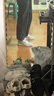 Reebok銳步官方男FLEXAGON透氣經(jīng)典室內運動(dòng)健身綜合訓練鞋 100202004 男款 42.5 曬單實(shí)拍圖