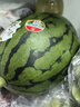 【產(chǎn)地直采】正宗北京龐各莊頭茬吊秧小西瓜1粒2kg 曬單實拍圖