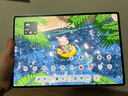 HUAWEI MatePad Pro 12.2英寸 2025 柔光版 國家補(bǔ)貼華為平板電腦雙層OLED柔光屏WIFI 12GB+256GB飛天青  曬單實(shí)拍圖