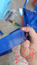 百欣全自動(dòng)玉米脫粒機(jī)家用小型玉米機(jī)器脫粒機(jī)打玉米包谷神器 單筒脫粒機(jī)大功率電機(jī)+安全開關(guān) 曬單實(shí)拍圖