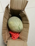 正宗新疆哈密瓜新鮮水果當季冰淇淋蜜瓜脆甜蜜香瓜哈密瓜包郵 3斤整箱 曬單實(shí)拍圖
