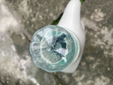 威露士清可新洗衣液松木香1L/瓶 除菌除螨除霉快洗去污漬 持久留香 曬單實拍圖