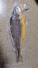海名威寧德三去大黃魚 對半厚切黃花魚 凈重2斤/3片裝 海鮮 魚類 中秋 曬單實拍圖