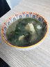 海帶嫩苗霞浦海帶苗火鍋3秒菜涼拌菜海帶苗海帶嫩苗霞浦特產(chǎn)海產(chǎn) [頭水海帶嫩苗]500g*1 曬單實拍圖