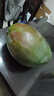 【新鮮上市】正宗攀枝花凱特芒果新鮮水果 帶箱2斤200g+ 曬單實拍圖