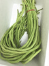 【超市品質(zhì)】新鮮農(nóng)家長(zhǎng)豆角豇豆角腌制泡菜早餐生鮮蔬菜豆角子 產(chǎn)地直發(fā)現(xiàn)摘 1斤 曬單實(shí)拍圖