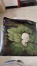 巴布豆奇跡奢寵拉拉褲小內褲鳳凰草植萃學(xué)步褲男女寶寶通用尿不濕 拉拉褲XXL20片 曬單實(shí)拍圖
