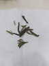 正宗胖東來茶葉 明前茶5A特級龍井茶2025新茶正宗清香型龍井綠茶 明前龍井一罐125克[體驗(yàn)裝] 曬單實(shí)拍圖