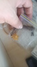 中鑫珠寶黃金耳環(huán)葉子耳墜女款999.9足金樹(shù)葉耳圈送媽媽女神節楓葉金首飾 4.77g 曬單實(shí)拍圖