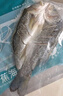 釣魚記開背海鱸魚1斤-1.3斤 三去凈重 冷凍 生鮮 魚類 海鮮水產(chǎn) 曬單實拍圖