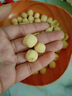 即食蓮子脆500g香酥脆蓮子干去芯無芯脫水無添加果蔬菜干新貨零食 蓮子脆【肝腎雙補(bǔ)】原味250g 曬單實(shí)拍圖