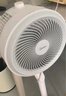 美的（Midea）電風扇 空氣循環(huán)扇家用立式落地大風力搖頭落地扇電扇桌面臺扇輕音低噪小風扇 FGA24TS 曬單實拍圖