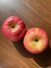南步山西吉縣蘋(píng)果【順豐】壺口特產(chǎn)冰糖心蘋(píng)果高山紅富士水果送禮盒 5斤 精選中小果【單果70mm+】約15枚/彩箱 曬單實(shí)拍圖