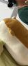 名創(chuàng  )優(yōu)品（MINISO）柴犬系列毛絨公仔趴姿玩具娃娃抱枕睡覺(jué)室內臥室辦公室生日禮物 曬單實(shí)拍圖