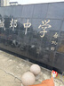 1號會員店單凍雞全腿 新鮮健身蛋白 烤雞腿炸雞腿 凈重2斤 曬單實拍圖
