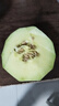 京鮮生蜜蜂授粉牛三蜜瓜網(wǎng)紋瓜單果1.5斤起凈重4.5-5斤 2-3粒裝源頭直發(fā) 曬單實(shí)拍圖