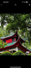 EVIDENS DE BEAUTE伊菲丹「強(qiáng)韌煥采」嘗鮮小美盒 曬單實(shí)拍圖