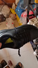 斯凱奇（SKECHERS）七夕禮物男士皮鞋夏季休閑鞋商務(wù)通勤透氣板鞋軟底上班鞋210835 曬單實(shí)拍圖