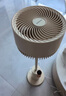 大宇（DAEWOO）【國家補貼】落地氛圍燈空氣循環(huán)扇12檔立式電風(fēng)扇輕柔音直流變頻小型空調扇 F30S 曬單實(shí)拍圖