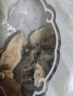 國強(qiáng) 白術(shù)250g/袋 中藥飲片白術(shù)中藥材正品 可配參苓白術(shù)散 養(yǎng)生滋補(bǔ) 曬單實拍圖