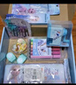 迪士尼（Disney）文具套裝 小學(xué)生書包兒童水杯文具禮盒學(xué)習(xí)用品開學(xué)大禮包女孩生日禮物 艾莎公主一年級(jí)入學(xué)禮包 曬單實(shí)拍圖