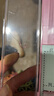 川澤伊豆有刺子線(xiàn)雙鉤成品綁好防纏繞魚(yú)鉤套裝全套競技野釣鯉魚(yú)鯽魚(yú)鉤 鉤7#線(xiàn)2.0#+鉤8#線(xiàn)2.5# 伊豆有刺【20付】 曬單實(shí)拍圖
