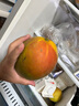 京鮮生 攀枝花凱特芒果 凈重4.5斤 單果300g+ 生鮮水果源頭直發(fā) 曬單實(shí)拍圖