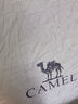 駱駝（CAMEL）戶外帳篷便攜式可折疊自動(dòng)銀膠防曬防雨野餐露營裝備8110A流沙金 曬單實(shí)拍圖