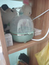 九陽（Joyoung）煮蛋器多功能智能蒸蛋器7個蛋量 ZD7-GE130（飛泉綠） 曬單實(shí)拍圖