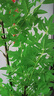 未歐南天竹仿真綠植盆栽高端輕奢室內(nèi)客廳裝飾擺件大型造景落地假花樹 180cm 4桿南天竹+輕奢花盆 曬單實(shí)拍圖