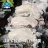 海鮮世家韓國(guó)冷凍生蠔肉430g 17-27只 牡蠣肉 火鍋燒烤食材海鮮生鮮 曬單實(shí)拍圖