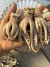 美加佳 魷魚頭 凈重1斤 魷魚須 魷魚爪 燒烤食材 鐵板魷魚 海鮮水產(chǎn) 曬單實(shí)拍圖