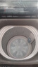 海爾（Haier）波輪洗衣機(jī)小型全自動(dòng)懶人8KG家用【XQB80-Z10D0】家電國家補(bǔ)貼以舊換新一級(jí)能效宿舍出租房單脫水 曬單實(shí)拍圖