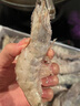 鮮京采【超28天全額退】 28天鮮凍蝦 2斤裝 40-60只 源頭直發(fā) 北海大蝦  曬單實(shí)拍圖
