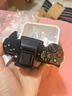 松下（Panasonic）Lumix G100D M43畫(huà)幅相機(jī) M43卡口 微單相機(jī) 無(wú)反數(shù)碼相機(jī) G100D單機(jī)+【25mmF1.7】單鏡頭定焦 曬單實(shí)拍圖