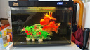 森森金麟超白智能魚(yú)缸小型桌面免換水生態(tài)魚(yú)缸一體缸自循環(huán) 【升級除油膜設計+自動(dòng)喂食+干濕分離】380 曬單實(shí)拍圖