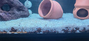 瘋狂水草水晶石英砂5斤1.0-2.0mm魚缸沙底砂魚缸造景魚缸沙子底砂免洗底沙 曬單實(shí)拍圖