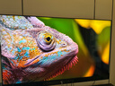 索尼（SONY）K-75XR51Z  索尼電視5系 75英寸 XR50系列 64G版 2025新品 MiniLED XR芯片 一級(jí)能效 國家補(bǔ)貼 曬單實(shí)拍圖