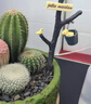 MPPMCK仙人掌盆栽組合多肉植物室內(nèi)仙人球辦公室桌面綠植花卉盆景 綠洲之刺組合+綠色盆 成品發(fā)貨+鋪面石+樹枝小鳥+澆水 曬單實(shí)拍圖