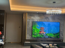 海信電視98E3Q Pro 98英寸 高分區(qū)MiniLED控光 288Hz高刷 U+超畫質(zhì)Pro AI智能語(yǔ)音 國(guó)家補(bǔ)貼 98/100 曬單實(shí)拍圖