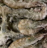 賣(mài)魚(yú)郎先生蝦 青島鹽凍大蝦凈重3.6斤 25-30只/斤 青蝦海蝦生鮮 蝦類(lèi) 曬單實(shí)拍圖