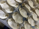 灣仔碼頭白菜三鮮豬肉水餃1320g66只早餐速食面點速凍餃子 曬單實拍圖