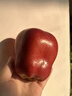 閩農語(yǔ)果花牛蘋(píng)果粉面蘋(píng)果當季鮮果水果送禮蛇果節日甘肅天水花牛蘋(píng)果 5斤【單果60mm+】?jì)糁?.5斤 產(chǎn)地直發(fā) 曬單實(shí)拍圖