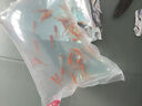 觀賞魚紅草金魚冷水魚金魚小魚活魚小寵物好養(yǎng)耐活闖缸練手飼料魚 草金魚三十條+2條備損 3-5cm 曬單實拍圖