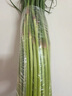 2025現貨脆嫩細蒜苔農家新鮮短蒜苔紅帽蒜薹嫩蒜苔新鮮當應季蔬菜 5斤 曬單實(shí)拍圖