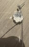 伊黛兒海鹽冰晶魚(yú)尾貝殼耳環(huán)女水晶耳釘小眾設(shè)計(jì)輕奢氣質(zhì)不對(duì)稱流蘇耳飾 E4073魚(yú)尾不對(duì)稱耳釘 曬單實(shí)拍圖