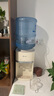 小熊（Bear）飲水機家用桶裝水 速熱式飲水機 家用小型制熱型臺式桌面 飲水器 經(jīng)典臺式快速加熱飲水機官方直營(yíng) YSJ-G05D2 溫熱型 曬單實(shí)拍圖